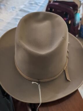 Champs Mens Wide Brim Felt Hat in Taupe